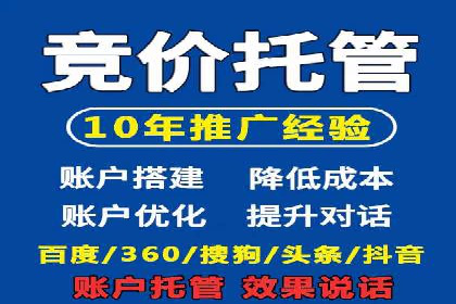 Sem优化公司案例：精准广告投放策略解析